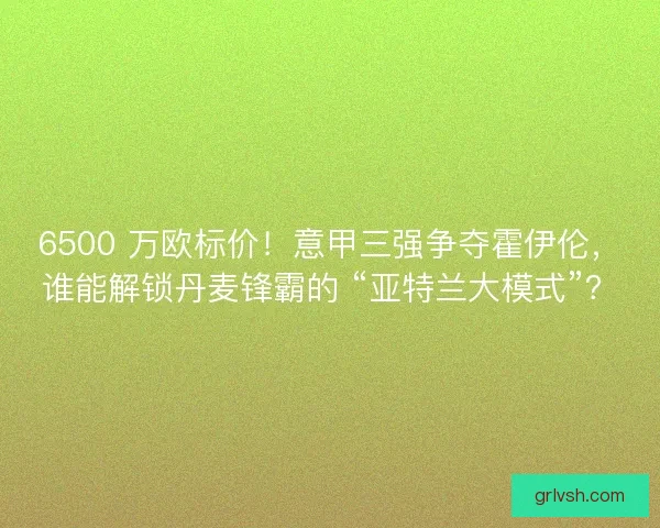 6500 万欧标价！意甲三强争夺霍伊伦，谁能解锁丹麦锋霸的 “亚特兰大模式”？