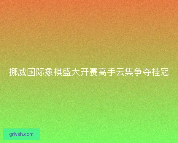 挪威国际象棋盛大开赛高手云集争夺桂冠